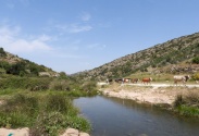 مسار محمية وادي قانا 