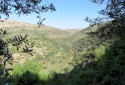 مسار دير غسانة-صريدا، عبر محمية وادي الزرقاء العلوي 