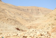 Al-Kanub reserve 