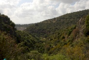 Um Rehan reserve
