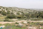 محمية جبل الاقرع 