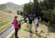 مسار محمية وادي القلط