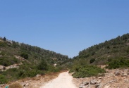 مسار محمية وادي قانا 