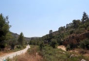 مسار محمية بيتللو (وادي جناتا) 