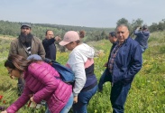 Educational Events and Raising Awareness Through the Iris - the Palestinian National Plant
