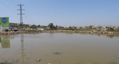 Askar Pond reserve 