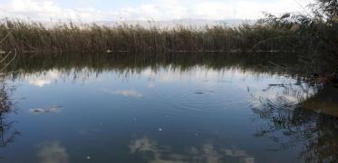 مسار عين البيضا -عين الساكوت