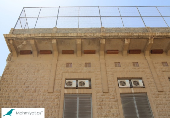 محميات فلسطين يختتم مشروع لحماية طائر السمامة في بيت لحم