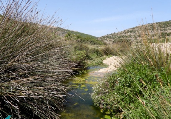 Wadi Qana reserve 